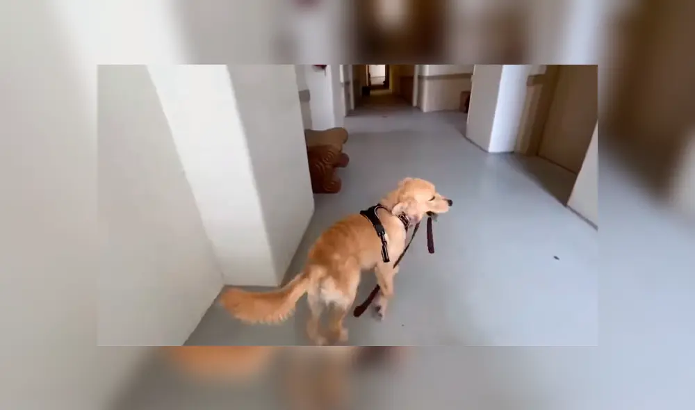 Desliza para ver los momentos más divertidos del video que se hizo viral en YouTube. Desliza para ver los momentos más divertidos del video que se hizo viral en YouTube.