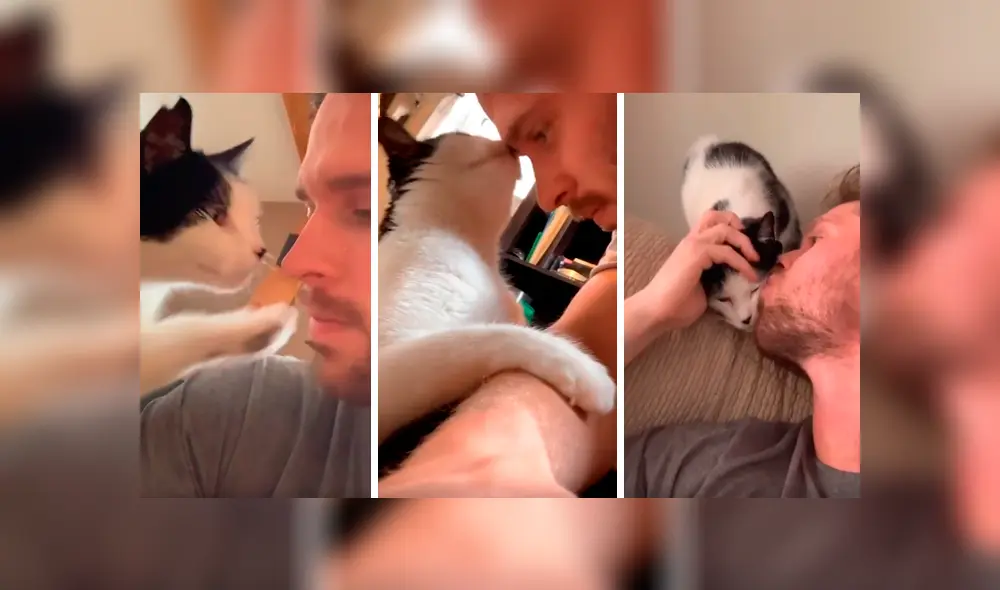 Desliza las imágenes hacia la izquierda para observar los tiernos gestos de un gato para agradecer a su nuevo dueño.