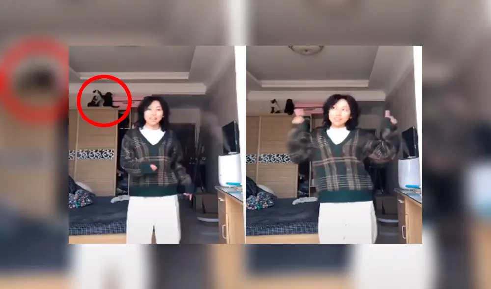 Desliza las imágenes para apreciar la travesura que realizaron unos gatos cuando su dueña se grababa en su cuarto.