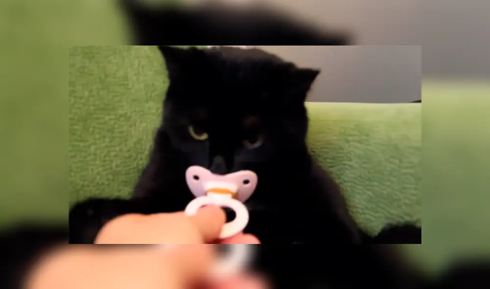 Desliza para ver el comportamiento que ha conmovido a los usuario de YouTube. Foto: Captura.