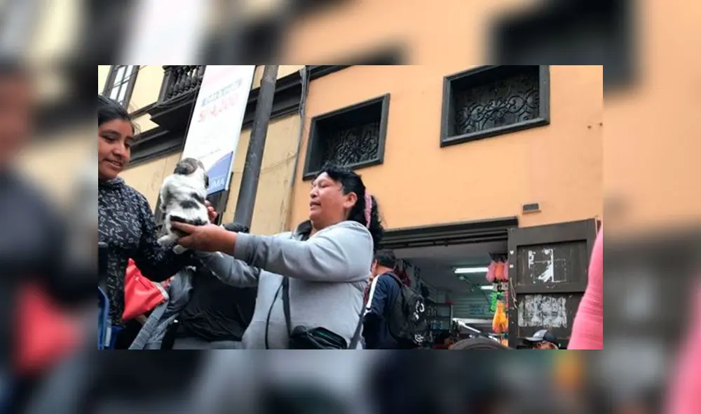 Albergue que defiende los derechos de los animales tomó fotografías a las personas que venden cachorros en jr. Ayacucho. Créditos: Facebook. Albergue que defiende los derechos de los animales tomó fotografías a las personas que venden cachorros en jr. Ayacucho. Créditos: Facebook.