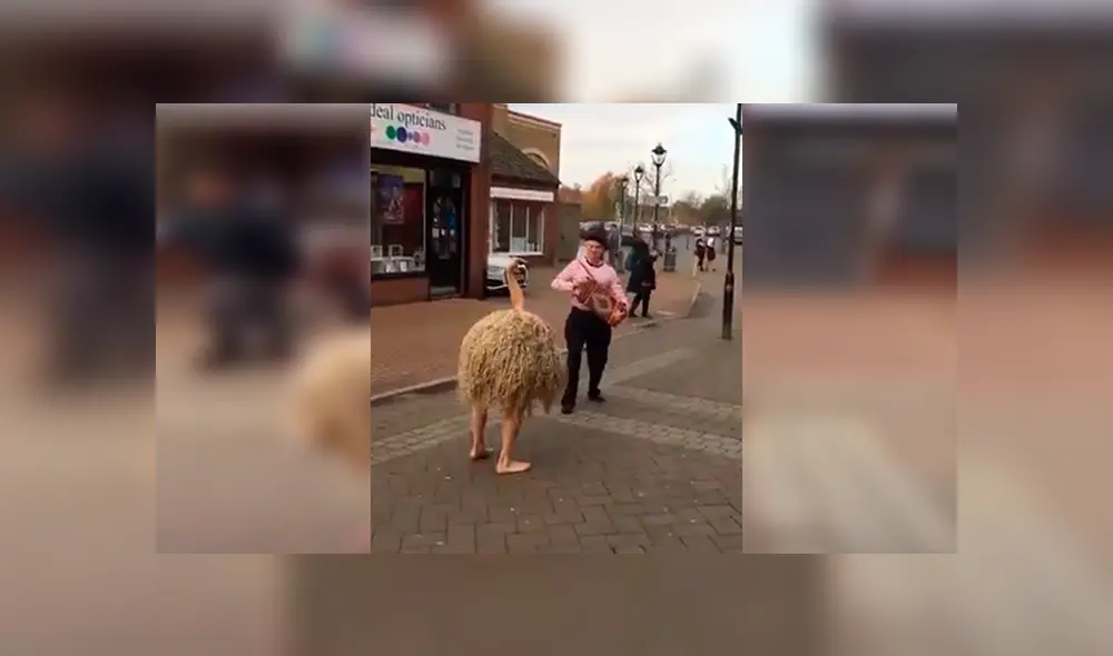 En YouTube, un artista callejero dio tremenda sorpresa a transeúntes al colocarse un disfraz de avestruz. En YouTube, un artista callejero dio tremenda sorpresa a transeúntes al colocarse un disfraz de avestruz.