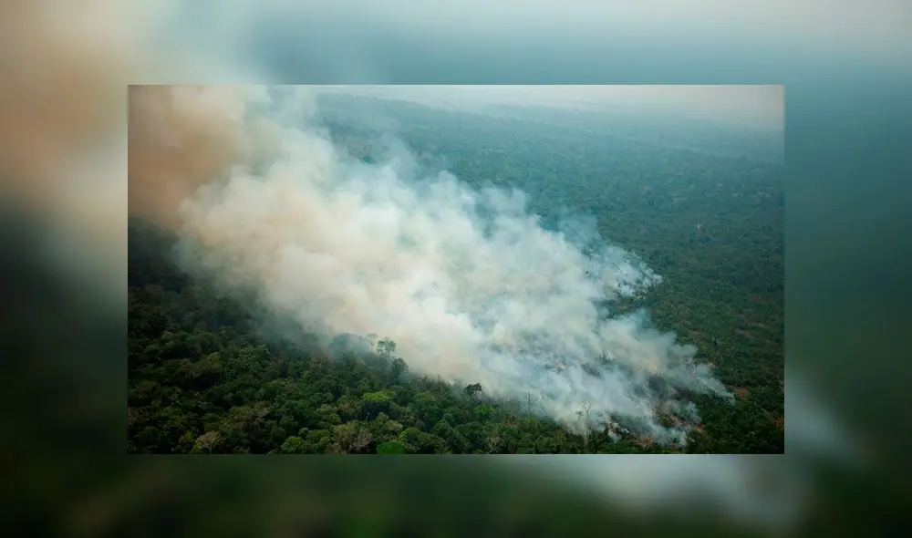 Lluvia Amazonas últimas noticias incendio forestal en Amazonía: llueve gris y clima en selva amazónica de Brasil sufre consecuencias