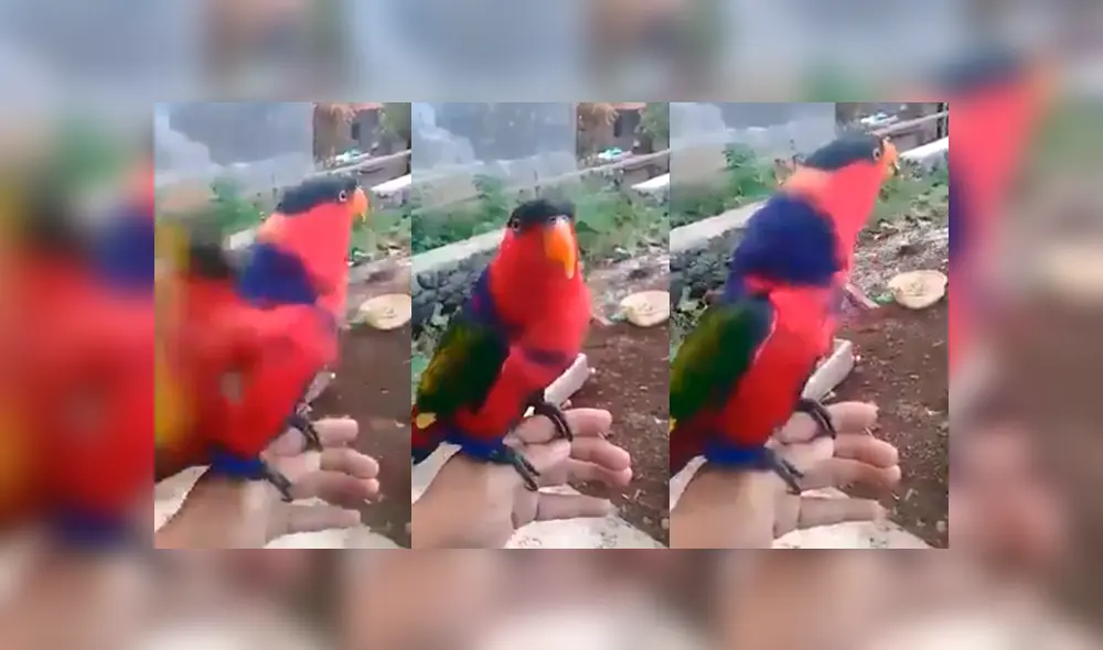 Desliza para ver el desenlace de este video viral de Facebook. Foto: Captura.