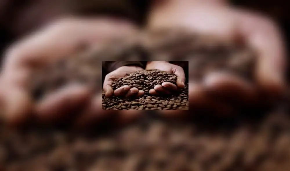 Cafetaleros colombianos piden ayuda al gobierno ante caída de los precios en Nueva York