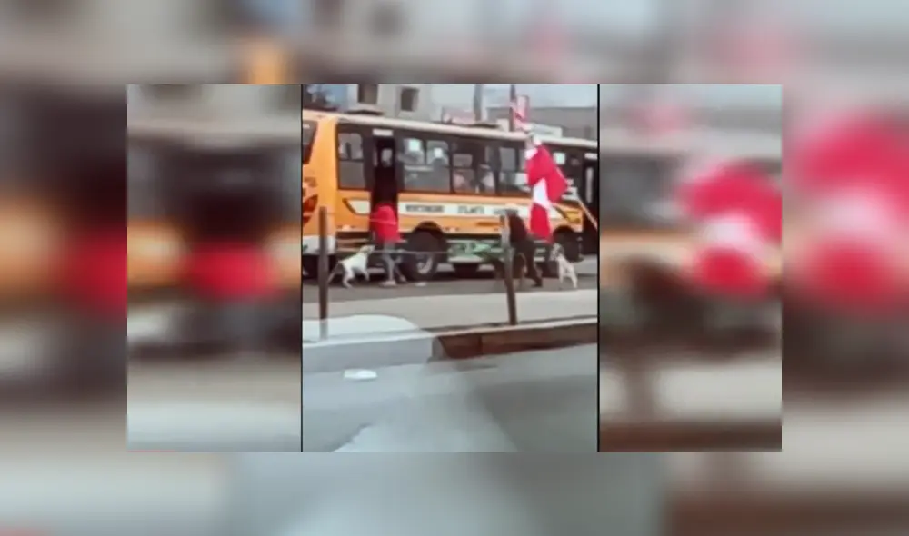 Delincuentes asaltando a una pasajera con la ayuda de sus perros. Foto: Captura América Noticias