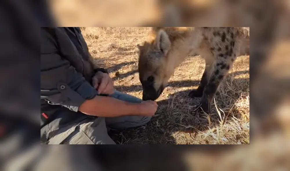Desliza hacia la izquierda para ver las imágenes del viral de YouTube. Foto: Captura.