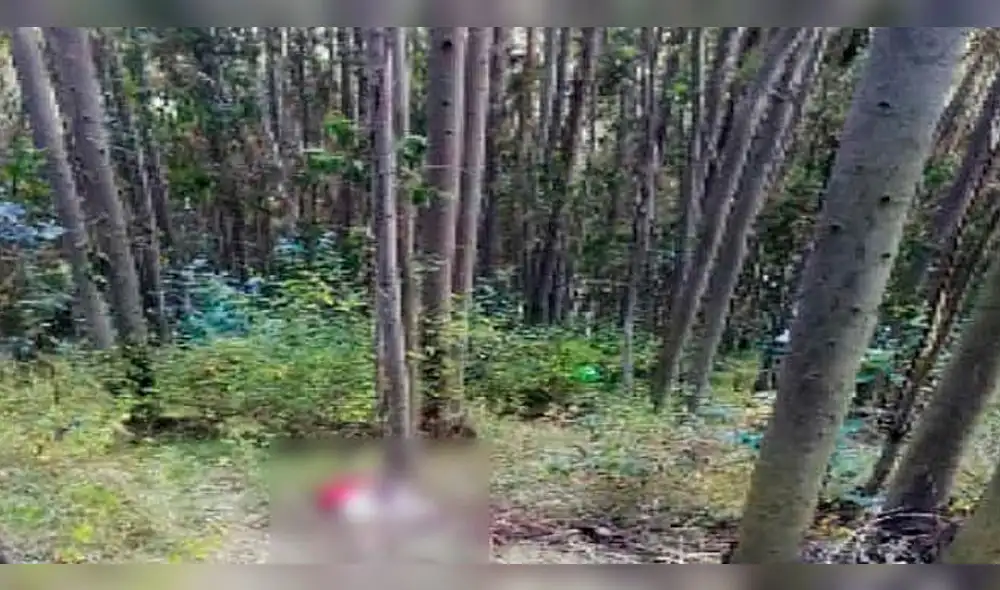 Cusco: Cae descuartizador que dejó restos de adolescente en Sacsayhuamán