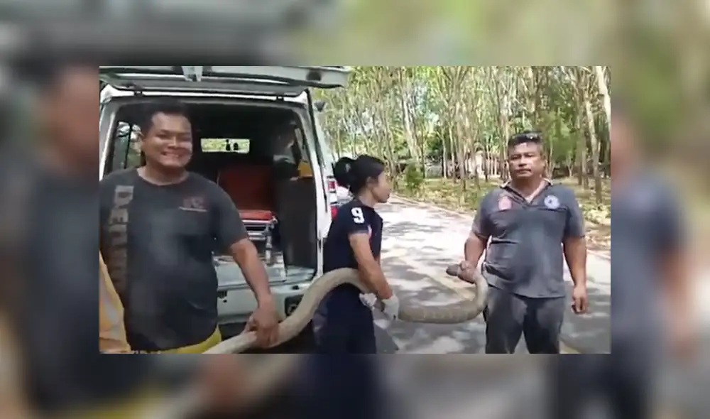 Desliza hacia la izquierda para ver las imágenes del viral de Facebook. Desliza hacia la izquierda para ver las imágenes del viral de Facebook.