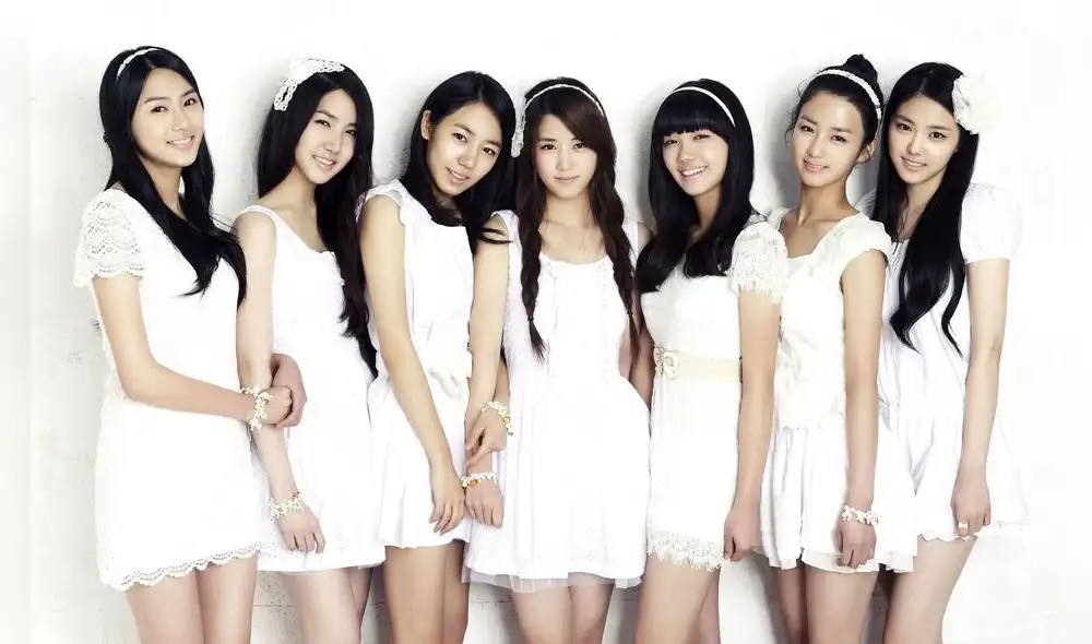 Apink debutó el 19 de abril del 2011 con 7 integrantes. En la actualidad el grupo está conformado por 6: Hayoung, Namjoo, Chorong, Eunji, Bomi y Naeun.