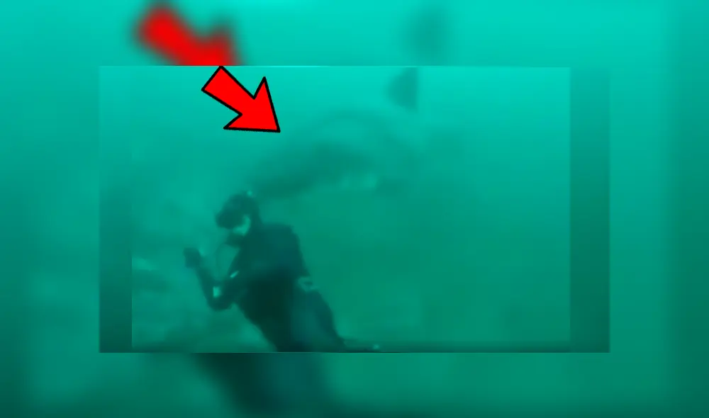 Un buzo pasó el susto de su vida tras lograr salvarse del feroz ataque de un enorme tiburón cuando realizaba una expedición en Sudáfrica.