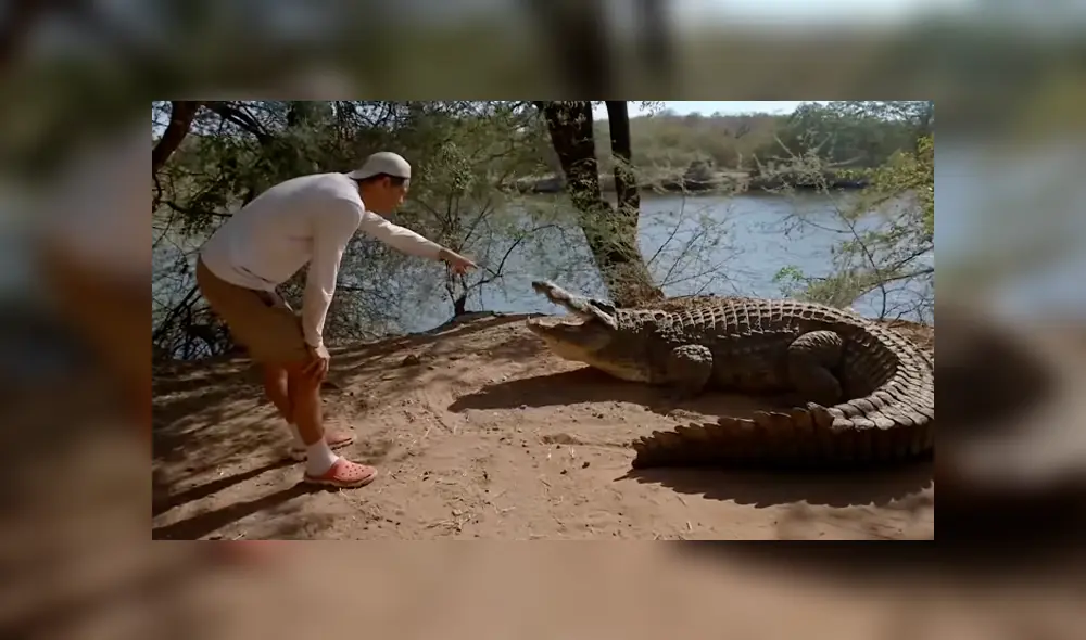Vía YouTube. El explorador se puso a pocos centímetros de un enorme cocodrilo y recibió un ataque.