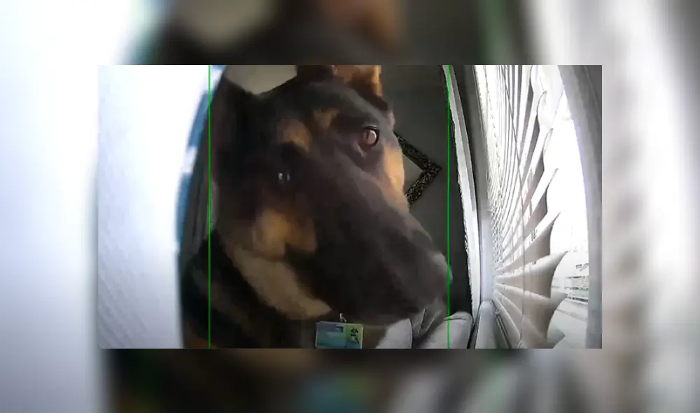 Desliza hacia la izquierda para ver las divertidas imágenes del viral de Facebook. Desliza hacia la izquierda para ver las divertidas imágenes del viral de Facebook.