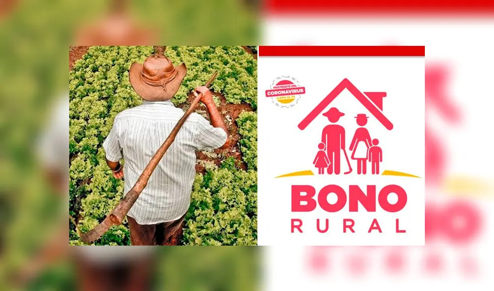 Bono Rural de 760 soles: ¿cuándo cobrar el subsidio agrario? Foto: composición.
