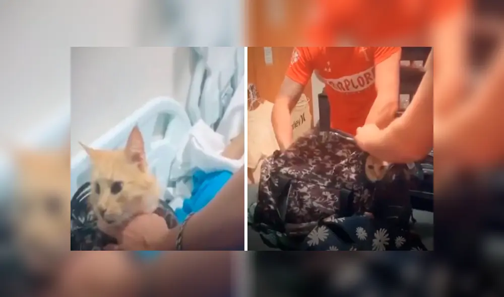 Desliza las imágenes para observar el noble gesto de unos jóvenes para sorprender a su abuelo en el hospital.