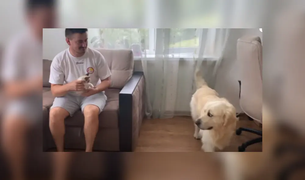 Desliza hacia la izquierda para ver las imágenes del viral de Facebook. Foto: Captura. Desliza hacia la izquierda para ver las imágenes del viral de Facebook. Foto: Captura.