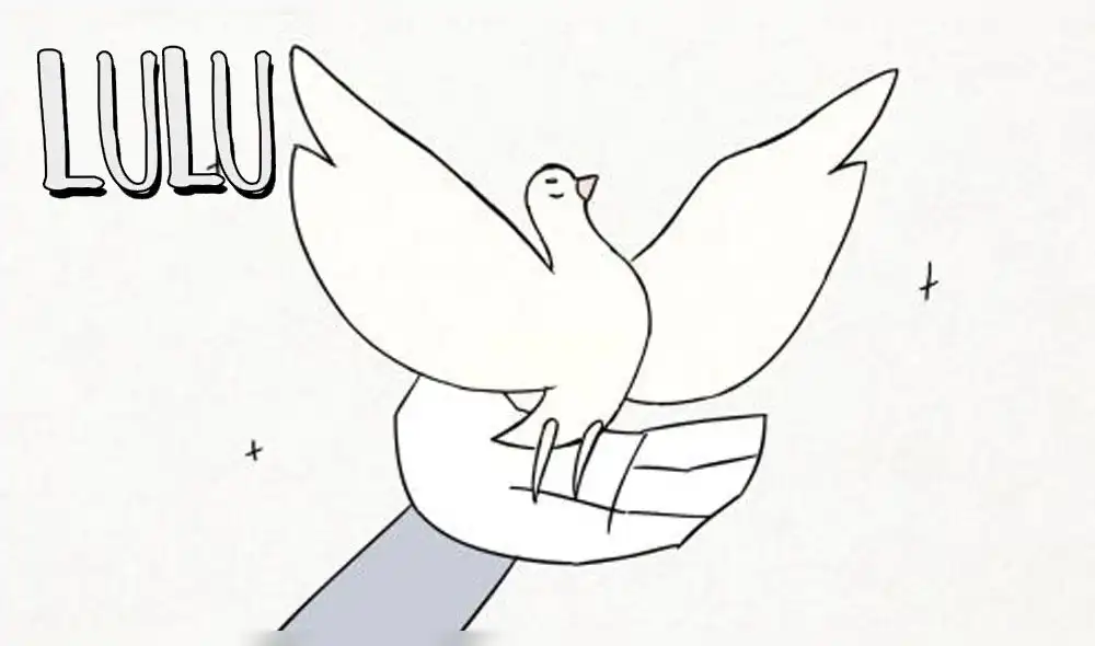 Lulu: cinta peruana ganó importante festival de cortos en Florida [VIDEO]