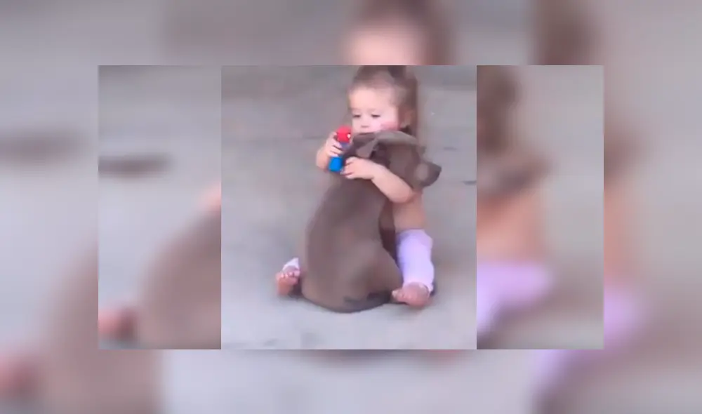 Desliza las imágenes hacia la izquierda para apreciar la sentimental escena entre una niña junto a su perro.
