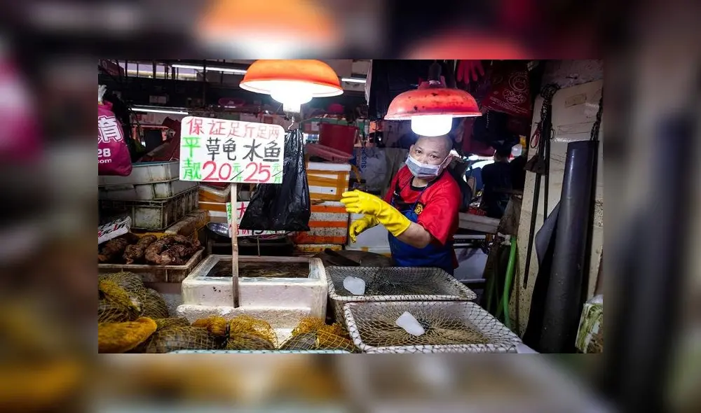 Aunque la mayoría de los animales están prohibidos desde finales de febrero de 2020, en el mercado de agricultores de Xihua las tortugas y las ranas se venden abiertamente. Foto: EFE
