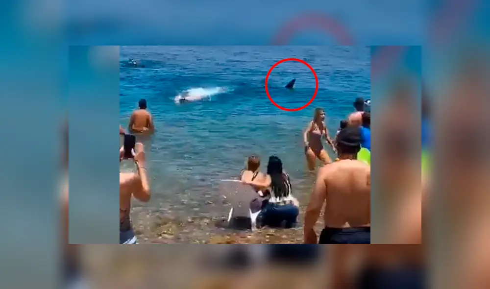 Desliza la imagen compartida en YouTube para verlas todas. Foto: @simonarann/Twitter