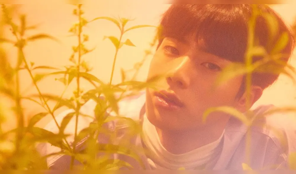 Desliza para ver más fotos de BTS y el álbum LOVE_YOURSELF 承 'Her' Concept Photo O. Créditos: Big Hit Entertainment