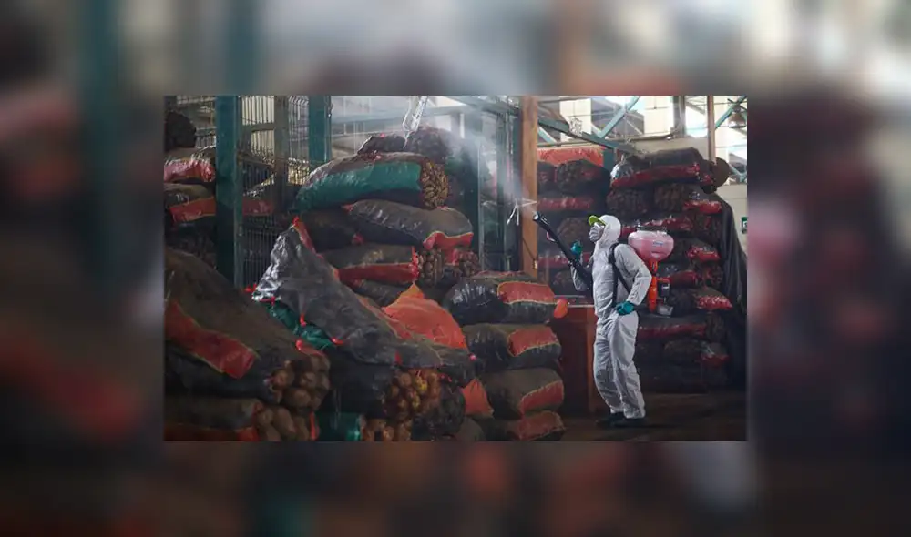 mercado papas mercado papas
