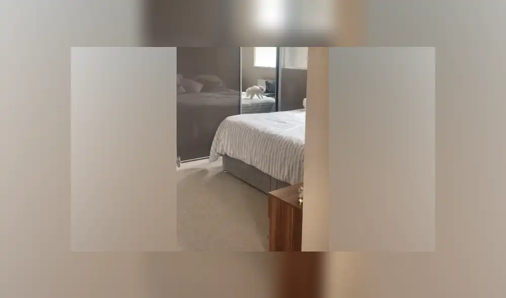 Desliza hacia la izquierda para ver las imágenes del viral de Facebook. Foto: Captura. Desliza hacia la izquierda para ver las imágenes del viral de Facebook. Foto: Captura.