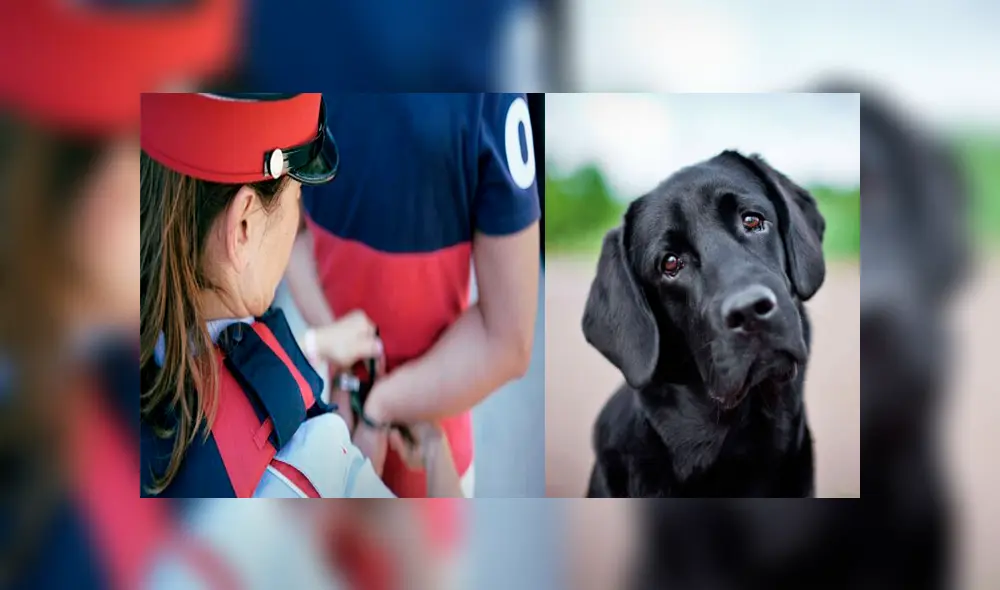 Los vecinos dieron aviso a las autoridades ante los golpes y gritos que provenían del departamento del sujeto ubicado en Premiá de Mar, España. Los vecinos dieron aviso a las autoridades ante los golpes y gritos que provenían del departamento del sujeto ubicado en Premiá de Mar, España.