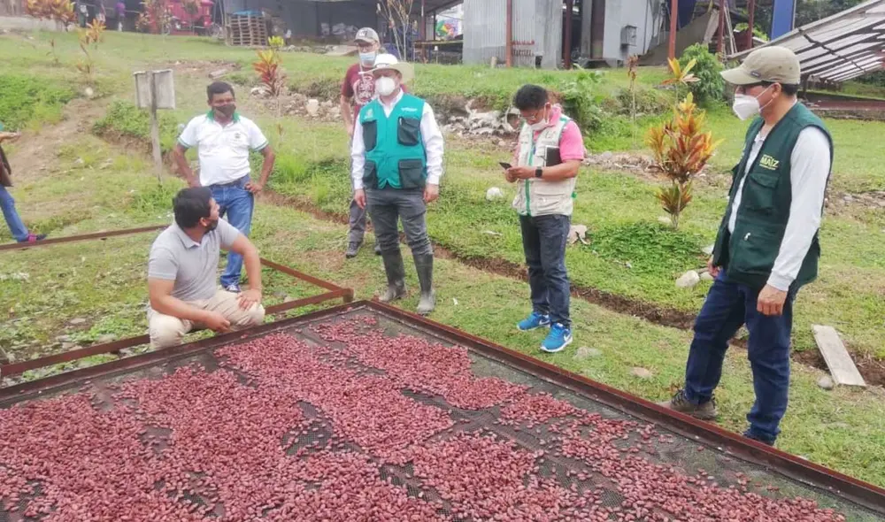 El turista podrá vivir el proceso que se realiza en la producción del cacao