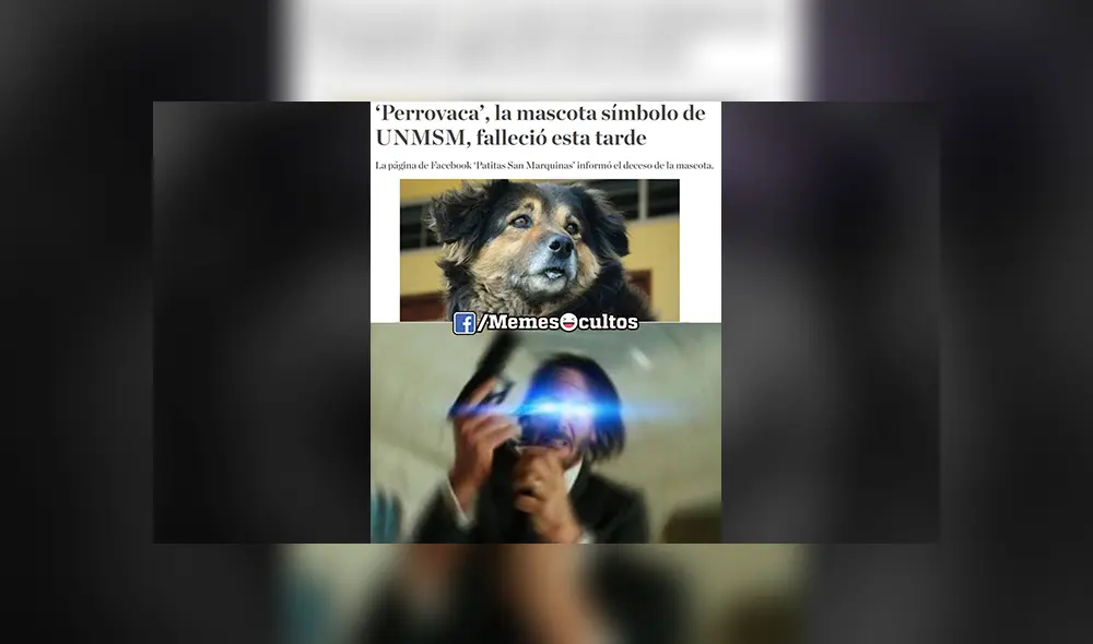Facebook viral: alumnos de la UNMSM despiden a su 'Perrovaca' con sentimentales memes [FOTOS] 