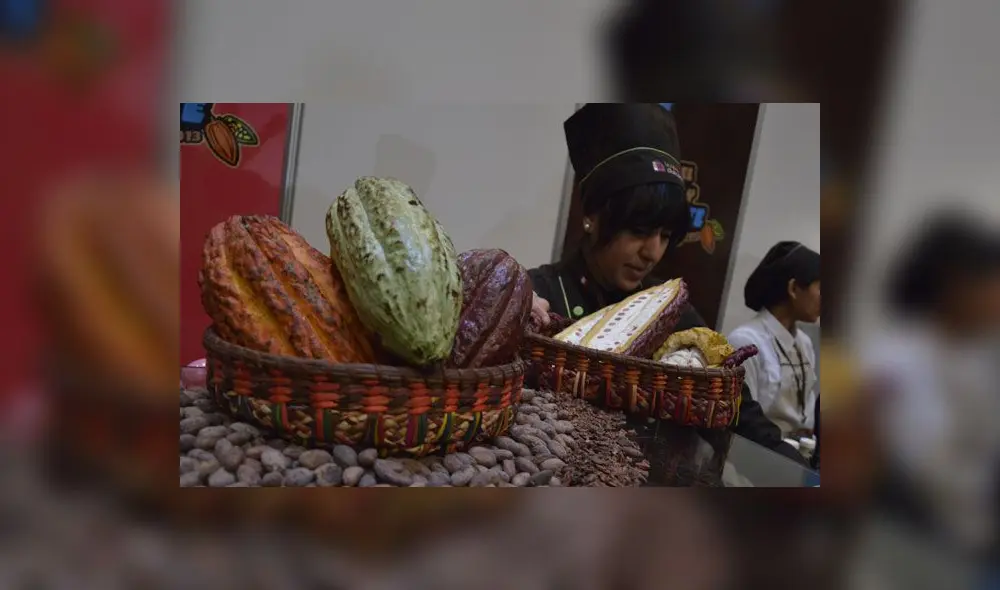 Conforman grupo de trabajo para el desarrollo de la cadena de valor del cacao y chocolate Conforman grupo de trabajo para el desarrollo de la cadena de valor del cacao y chocolate