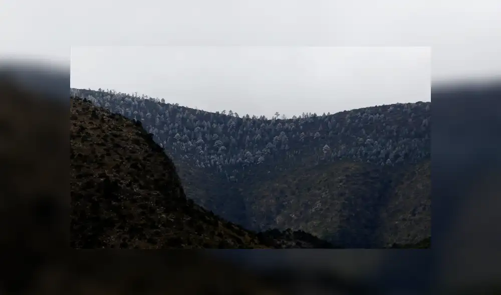 Frente Frío 41 genera caída de nieve en Sierra de Zapalinamé en Saltillo [FOTOS]