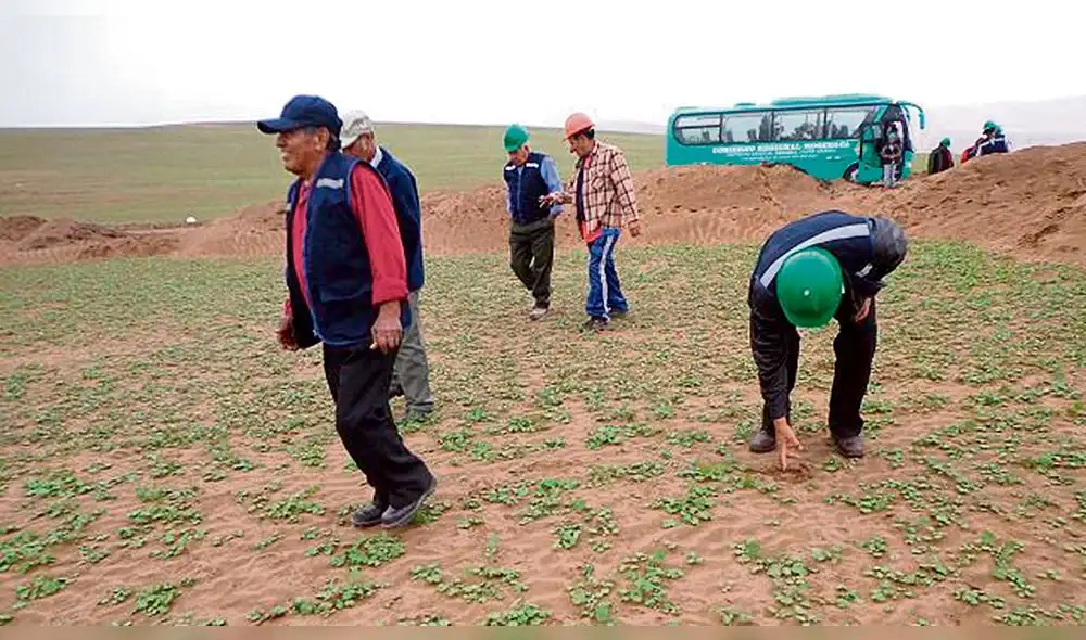 Moquegua: En Ilo iniciará rescate de restos arqueológicos