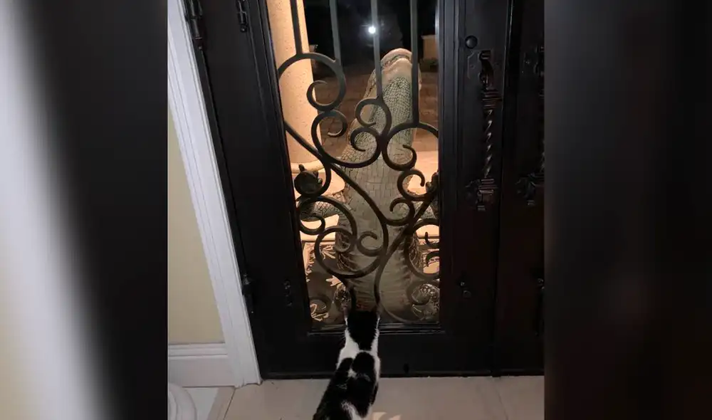 La imagen subida a Facebook se ha compartido más de 100.000 veces. Foto: Ed Werdell La imagen subida a Facebook se ha compartido más de 100.000 veces. Foto: Ed Werdell