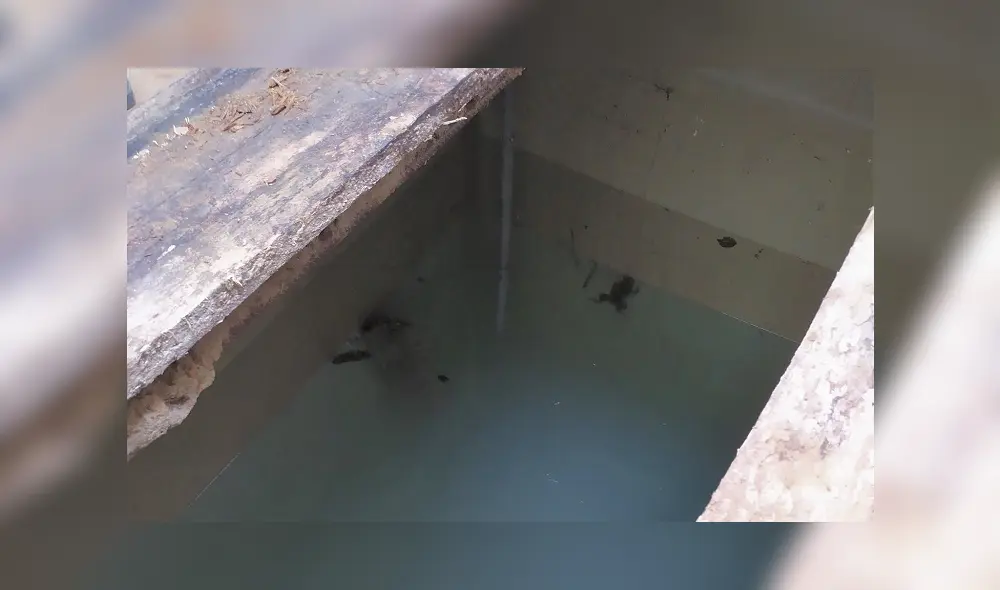 Sunedu: las sedes de la UAP lucían así cuando fueron inspeccionadas [FOTOS]