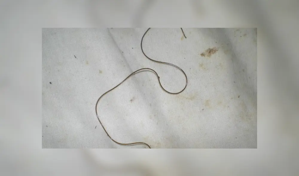 Desliza para ver los detalles del video viral publicado en YouTube. Foto: Captura. Desliza para ver los detalles del video viral publicado en YouTube. Foto: Captura.