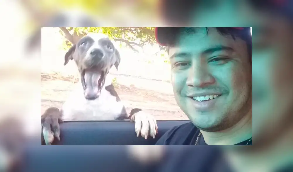 Vía Facebook: este es el primer 'restautant canino' para que Firulais tenga una cita romántica [FOTOS]