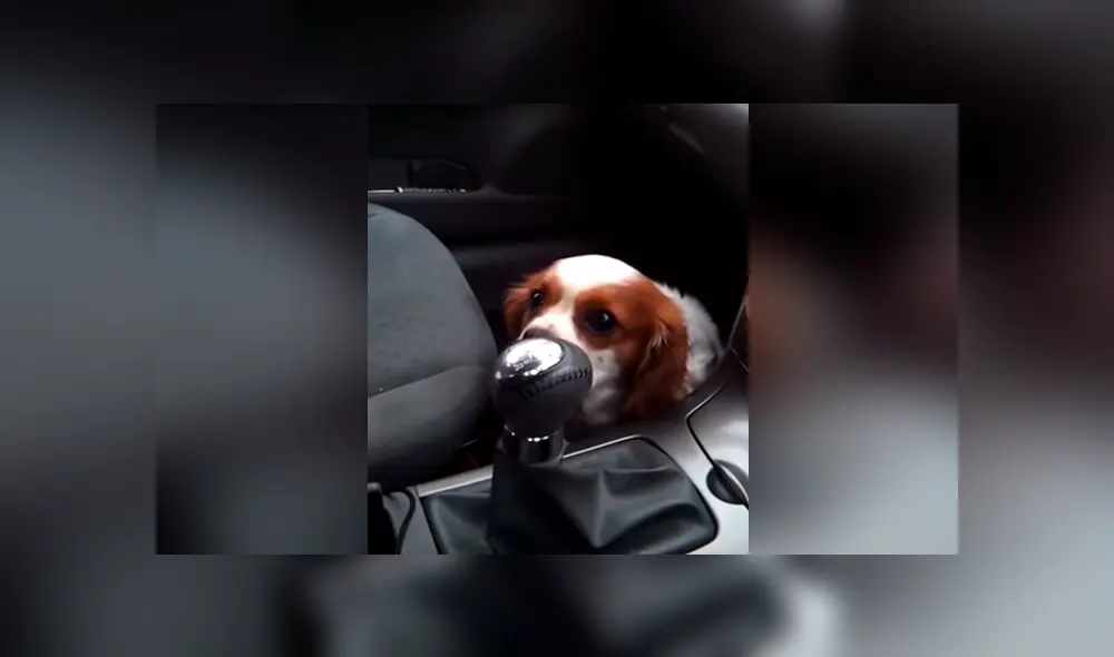 Desliza para ver los momentos más divertidos del video que se hizo viral en YouTube.