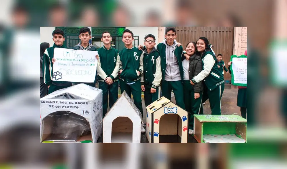 Estudiantes elaboraron casas para perritos callejeros. Créditos: Facebook.