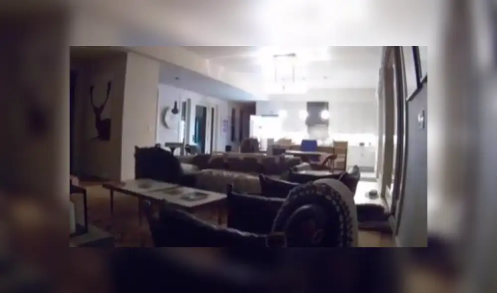 Mujer revisa cámaras de seguridad y descubre al 'intruso’ que le robaba su comida de madrugada.