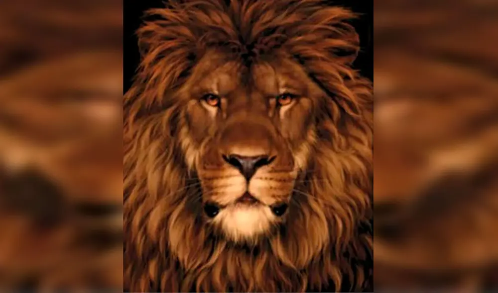 Desliza las imágenes hacia la izquierda para enterarse sobre la verdadera respuesta de este reciente desafío. Foto: Milenio/ Referencia Desliza las imágenes hacia la izquierda para enterarse sobre la verdadera respuesta de este reciente desafío. Foto: Milenio/ Referencia