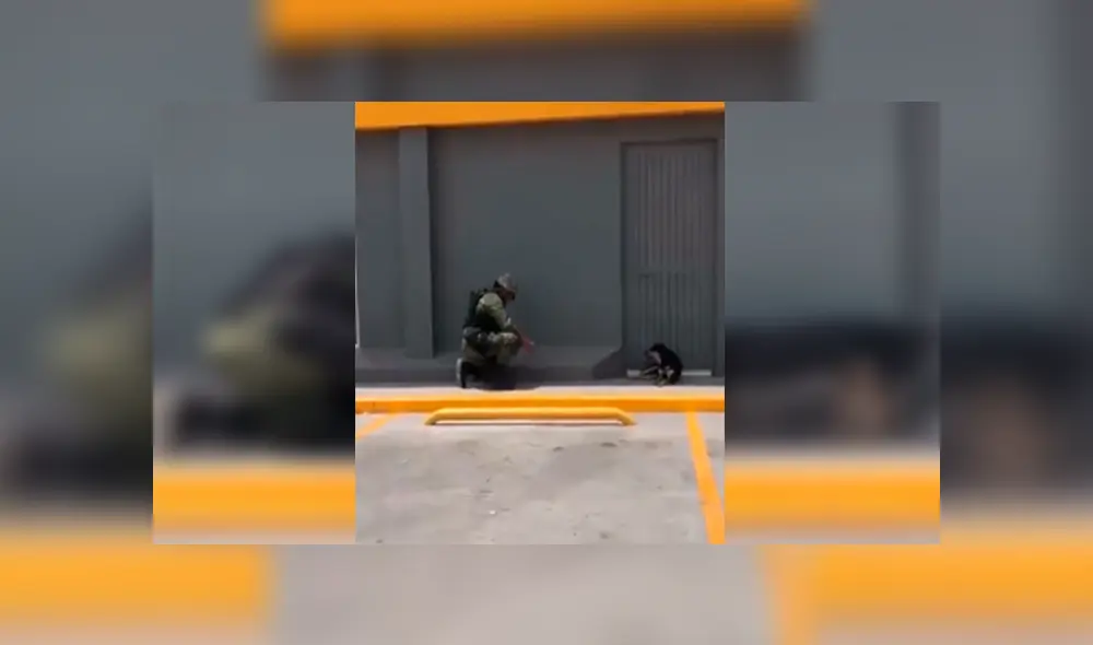 Desliza las imágenes para observar la admirable acción del agente policial para brindar ayuda a un perro callejero. Desliza las imágenes para observar la admirable acción del agente policial para brindar ayuda a un perro callejero.