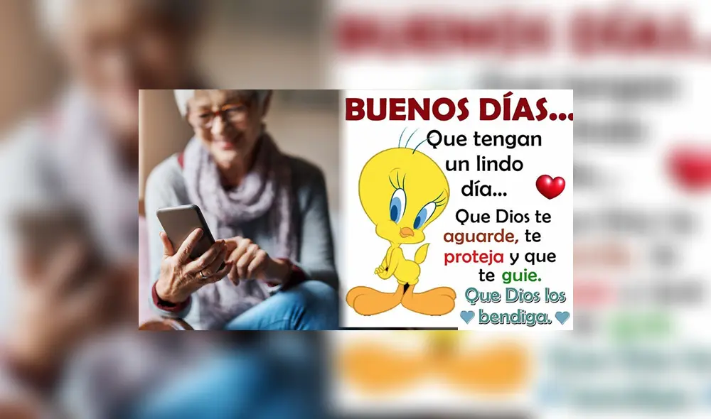 Conoce el origen de las imágenes de Piolín con frases motivadoras. Foto: composición LR/Facebook/Tecnoabuelos