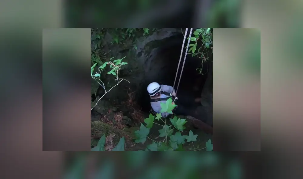 Una perrita fue encontrada atrapada en un cueva y un grupo de rescatistas le salvó la vida. Foto: Facebook.