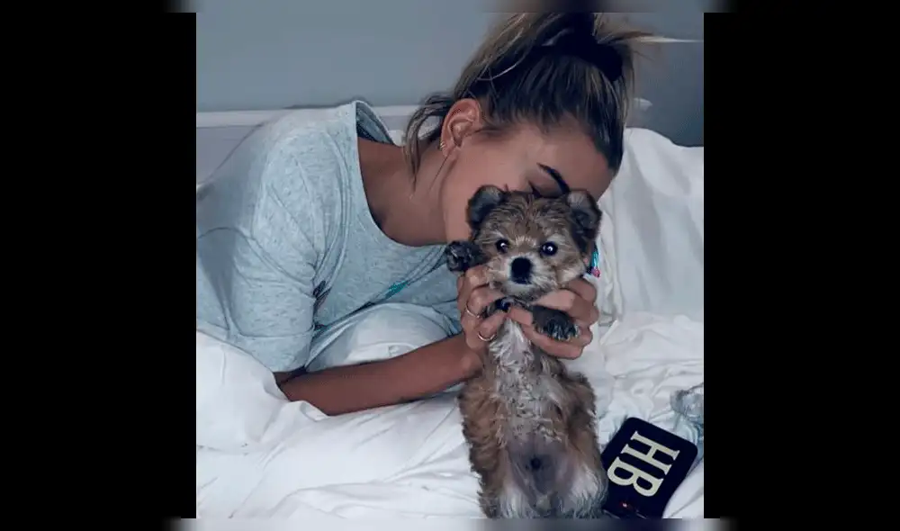 Repudian a Justin Bieber y Hailey Baldwin por supuesto maltrato animal [VIDEO]