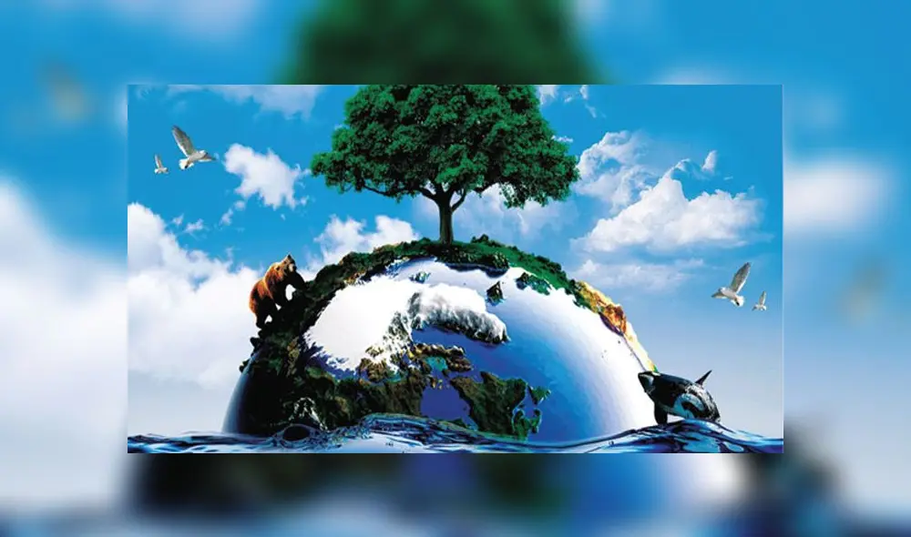 Es un momento clave para tomar conciencia sobre la preocupación que todos debemos tener. Es un momento clave para tomar conciencia sobre la preocupación que todos debemos tener.