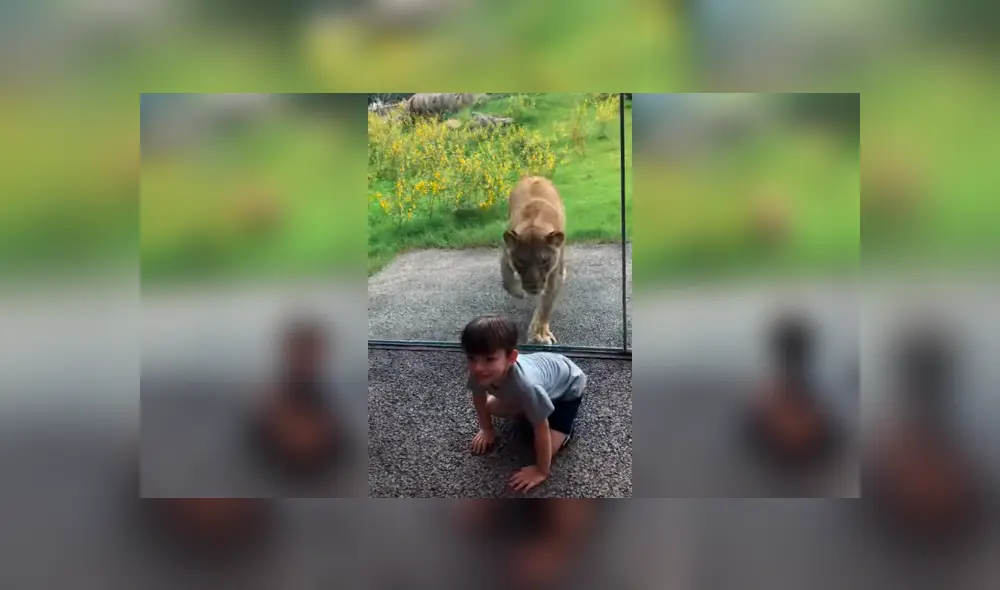 Desliza para ver los detalles del video viral publicado en YouTube. Foto: Captura.