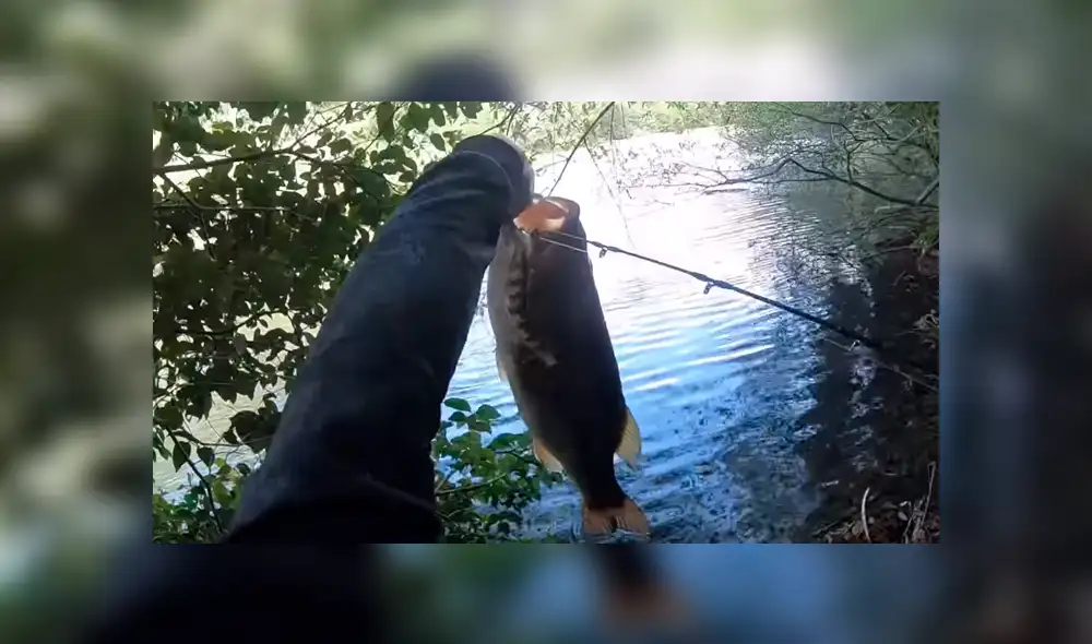 Pescador emerge su mano dentro de un misterioso río de Brasil. Pescador emerge su mano dentro de un misterioso río de Brasil.
