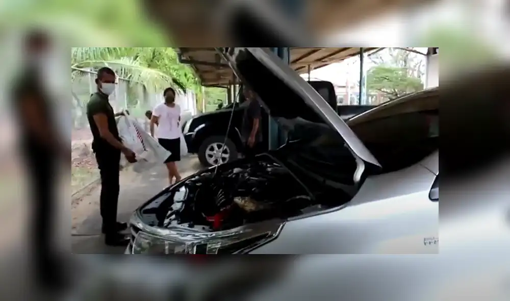 Desliza hacia la izquierda para ver las imágenes del viral de YouTube. Desliza hacia la izquierda para ver las imágenes del viral de YouTube.