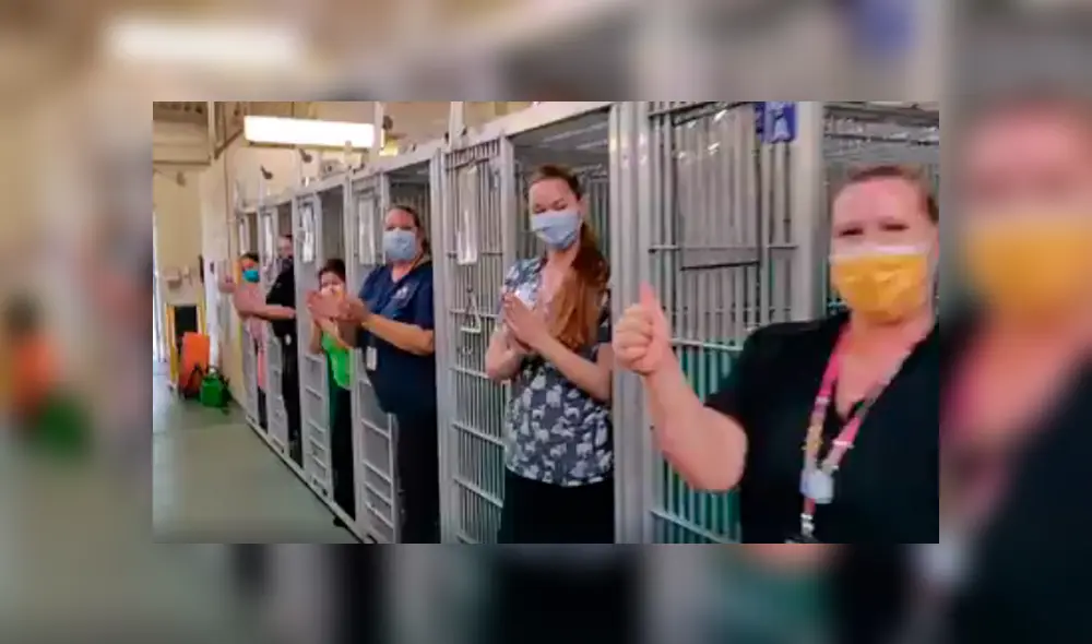 Desliza las imágenes para apreciar la conmovedora celebración de los trabajadores al enterarse sobre la adopción de los animales. Desliza las imágenes para apreciar la conmovedora celebración de los trabajadores al enterarse sobre la adopción de los animales.
